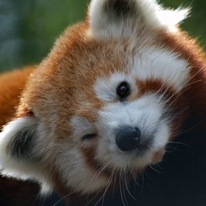 Meet your Posher, Katelyn